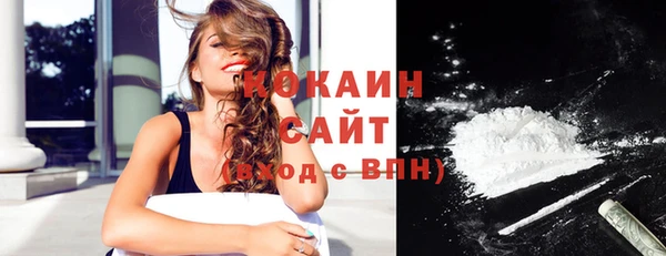 шишки Аркадак