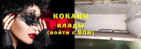 шишки Аркадак