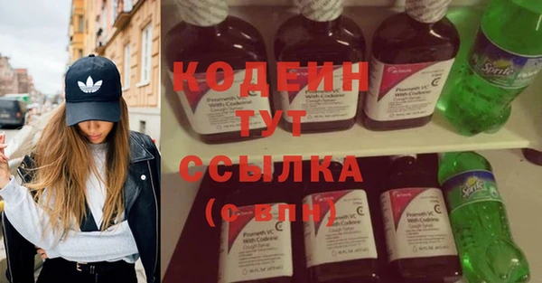 дурь Арсеньев